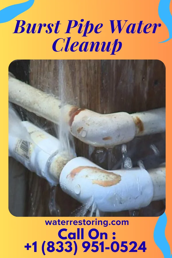 Burst Pipe Water Cleanup in Eatons Neck, NY