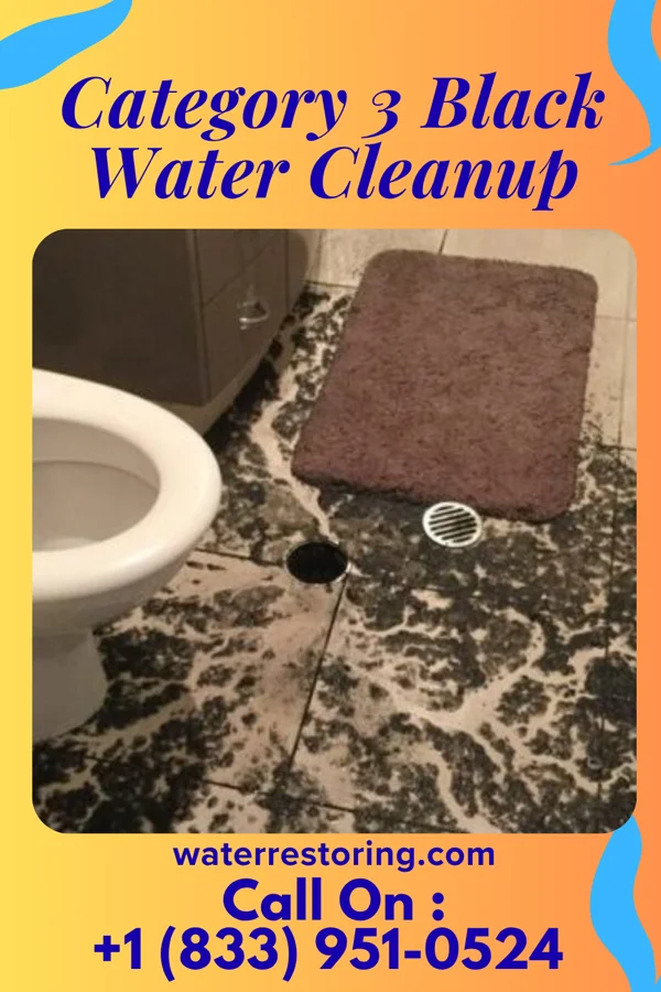 Category 3 Black Water Cleanup in Eatons Neck, NY