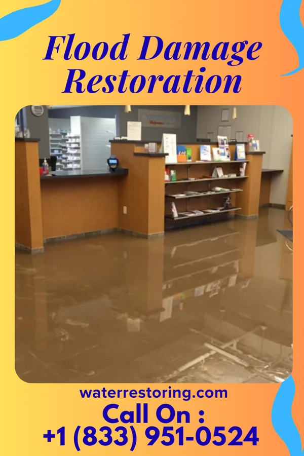 Flood Damage Restoration in Eatons Neck, NY