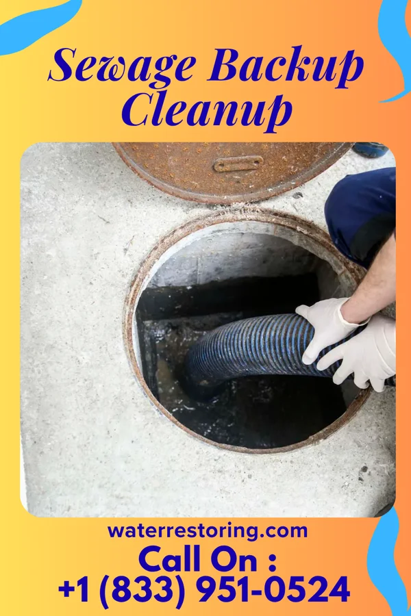 Sewage Backup Cleanup in Eatons Neck, NY