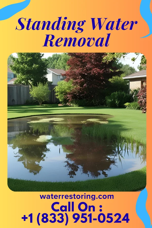 Standing Water Removal in Eatons Neck, NY